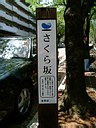 さくら坂